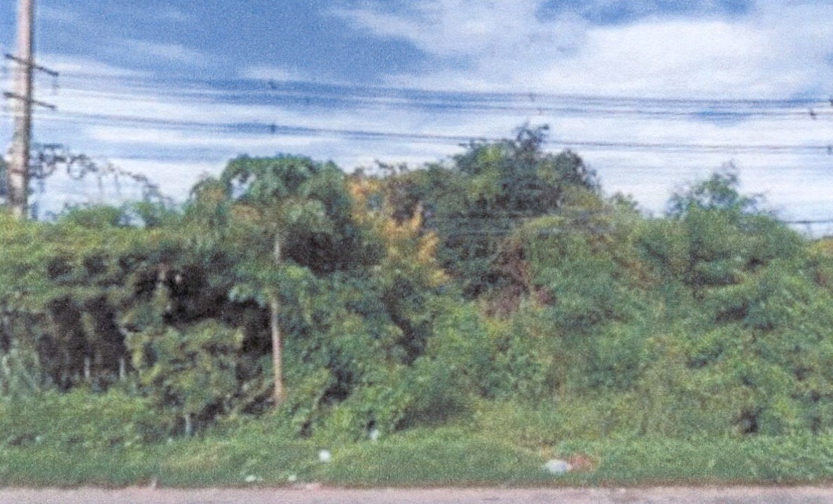 รูปที่ดินว่างเปล่า หินเหล็กไฟ หัวหิน ประจวบคีรีขันธ์