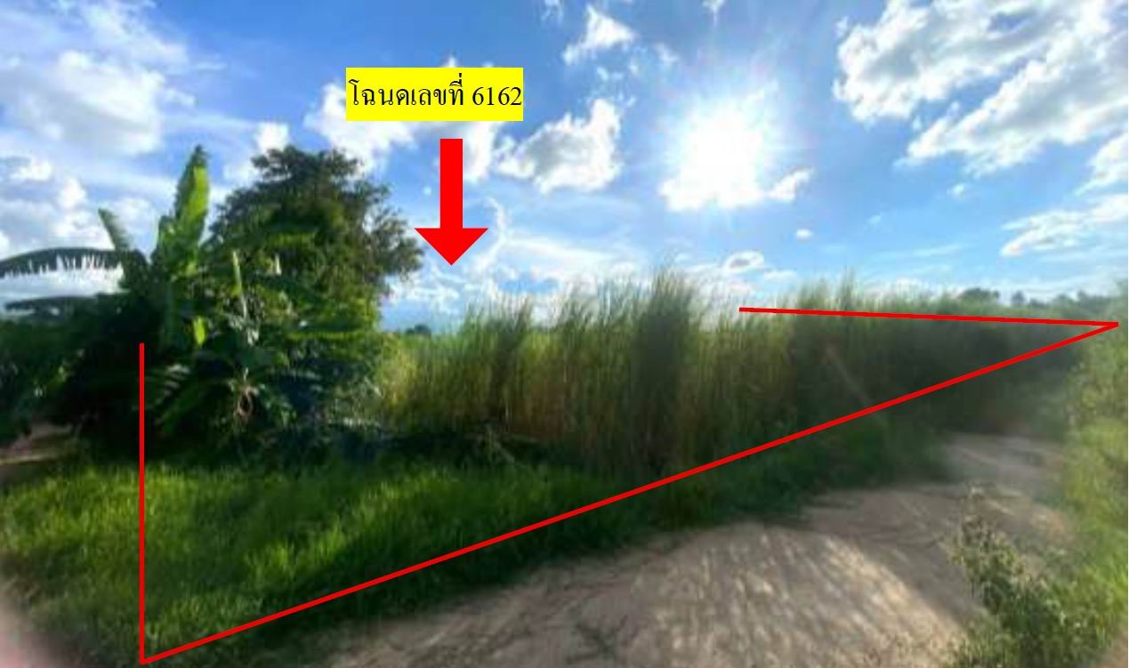 รูปที่ดินว่างเปล่า วังโมกข์ วชิรบารมี พิจิตร