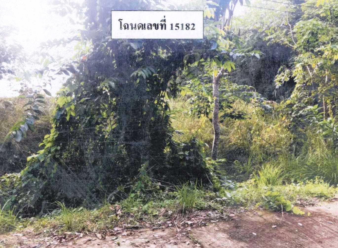 รูปที่ดินว่างเปล่า ตะบิ้ง สายบุรี ปัตตานี