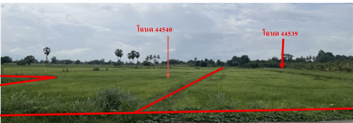 รูปที่ดินว่างเปล่า ยางขาว พยุหะคีรี นครสวรรค์