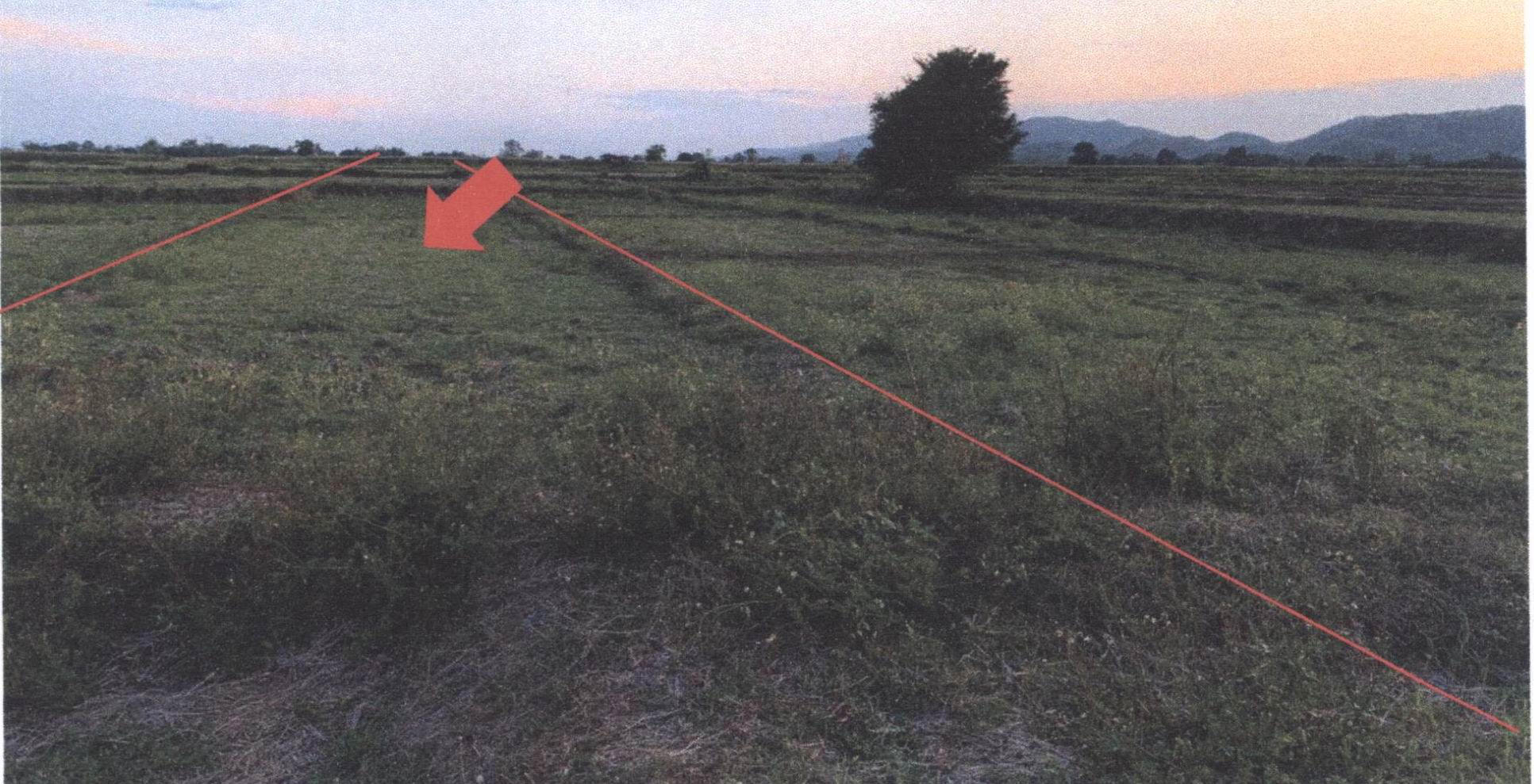 รูปที่ดินว่างเปล่า วังธง เมืองแพร่ แพร่