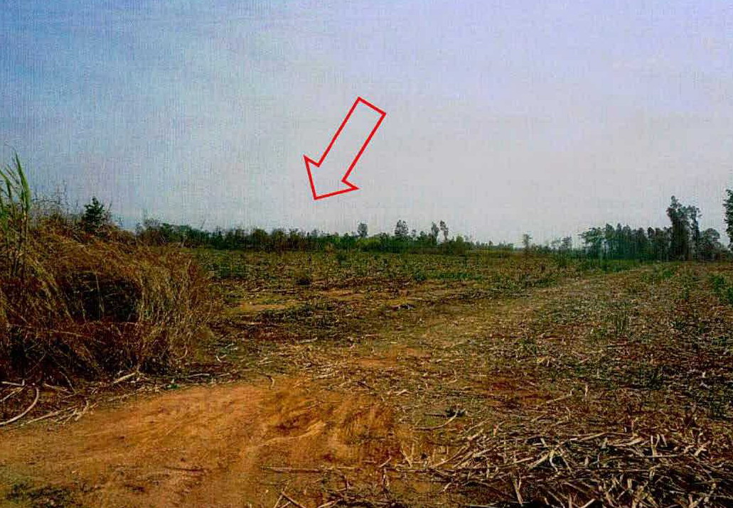 รูปที่ดินว่างเปล่า นากอก ศรีบุญเรือง หนองบัวลำภู