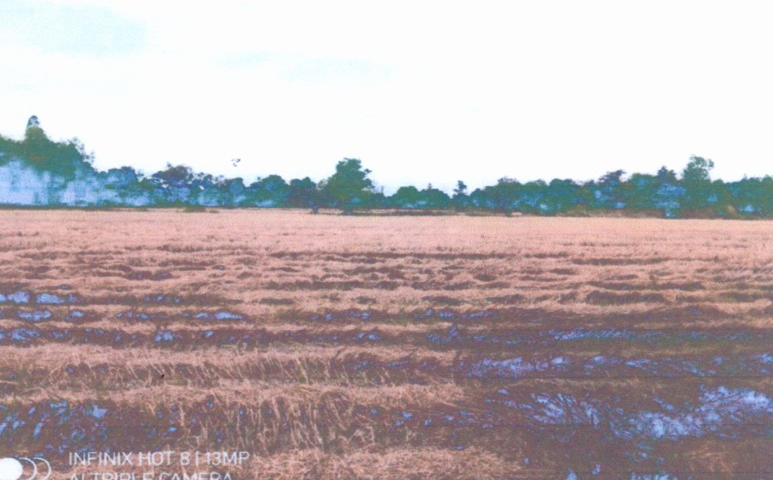 รูปที่ดินว่างเปล่า ลาดควาย ศรีเมืองใหม่ อุบลราชธานี