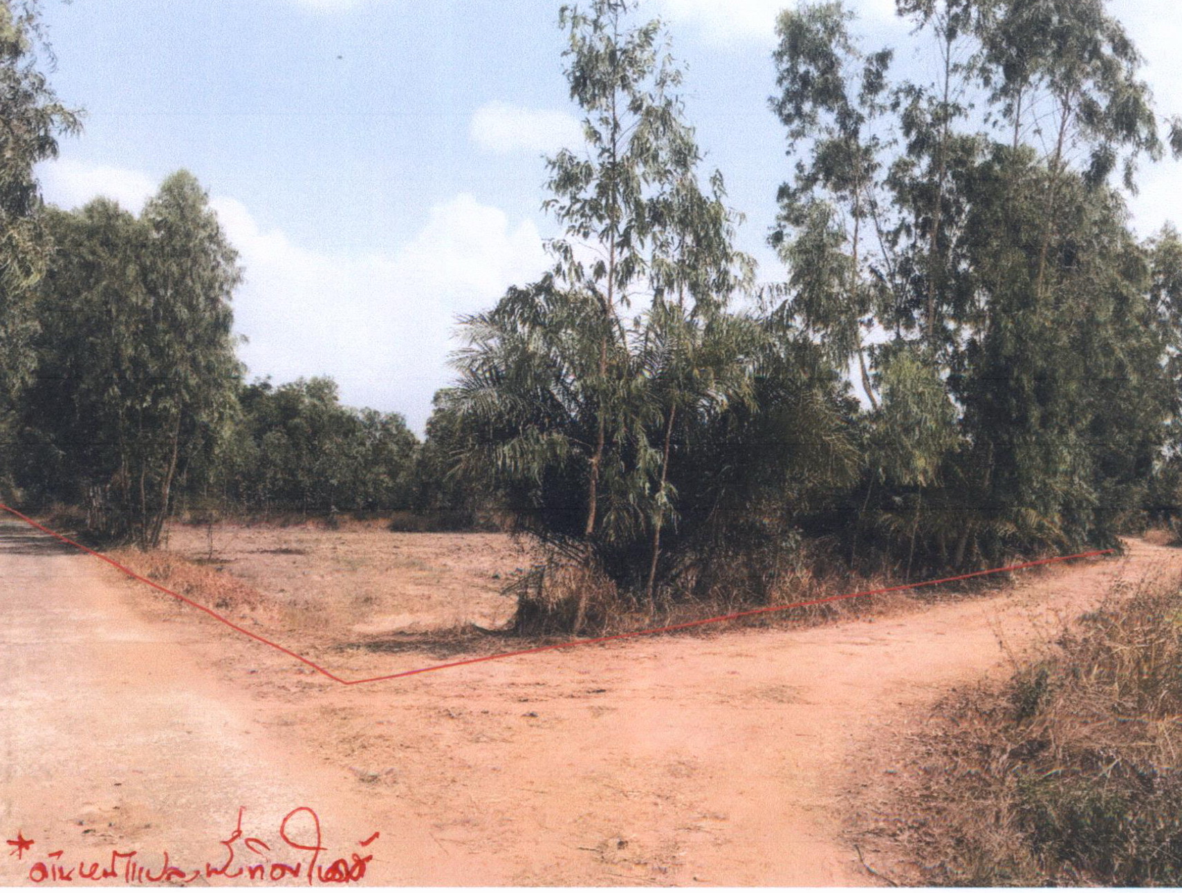 รูปที่ดินว่างเปล่า ศรีสุข เขื่องใน อุบลราชธานี