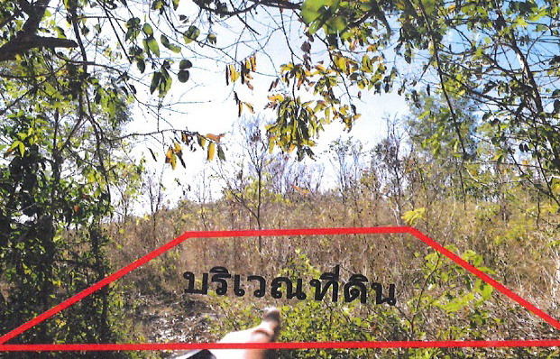 รูปที่ดินว่างเปล่า นาดี นาดี ปราจีนบุรี