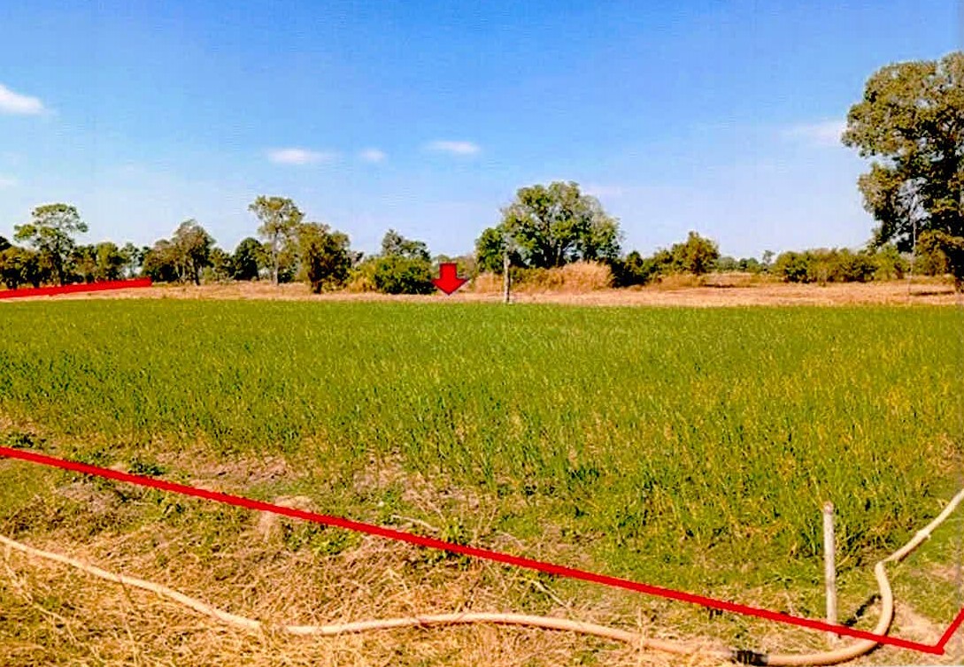รูปที่ดินว่างเปล่า บึงบอน ยางชุมน้อย ศรีสะเกษ