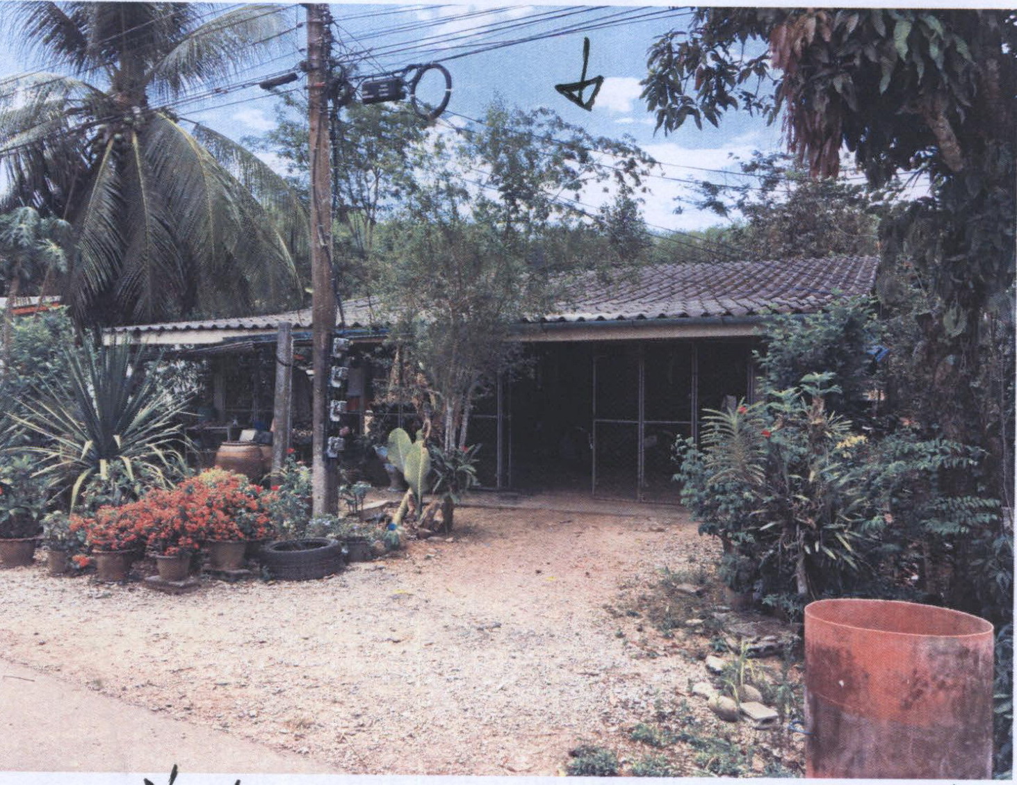 รูปที่ดินพร้อมสิ่งปลูกสร้าง บ้านนา ปะเหลียน ตรัง
