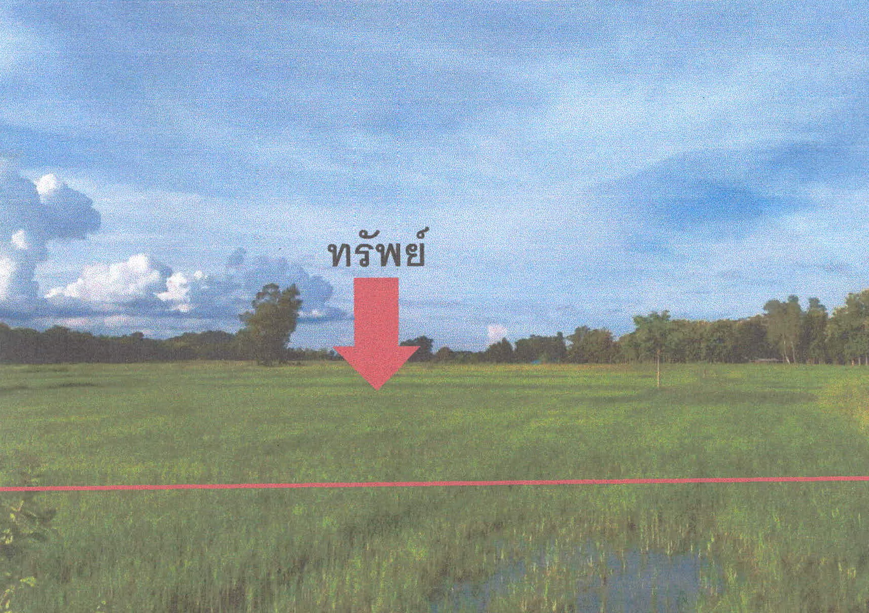 รูปที่ดินว่างเปล่า นาแก้ว เกาะคา ลำปาง