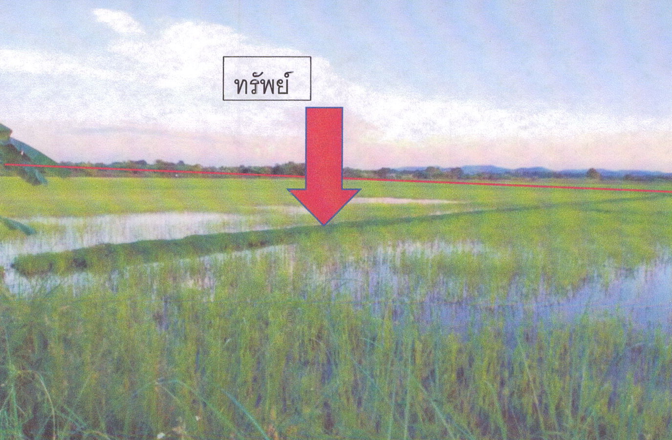 รูปที่ดินว่างเปล่า จอมสวรรค์ แม่จัน เชียงราย