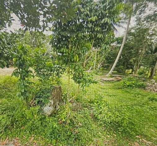 รูปที่ดินว่างเปล่า บาโงสะโต ระแงะ นราธิวาส