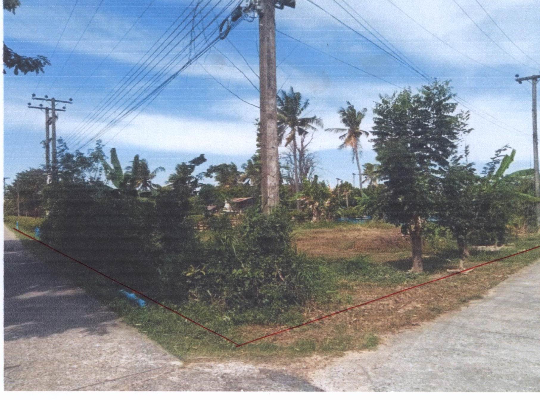 รูปที่ดินว่างเปล่า หัวงัว สนม สุรินทร์