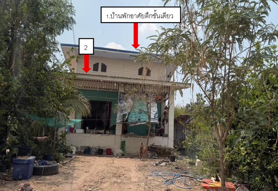 รูปที่ดินพร้อมสิ่งปลูกสร้าง หินดาด ด่านขุนทด นครราชสีมา