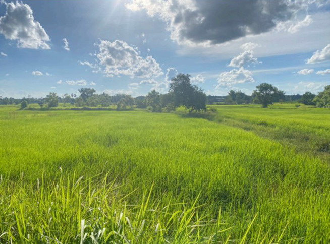 รูปที่ดินว่างเปล่า นาหนาด ธาตุพนม นครพนม