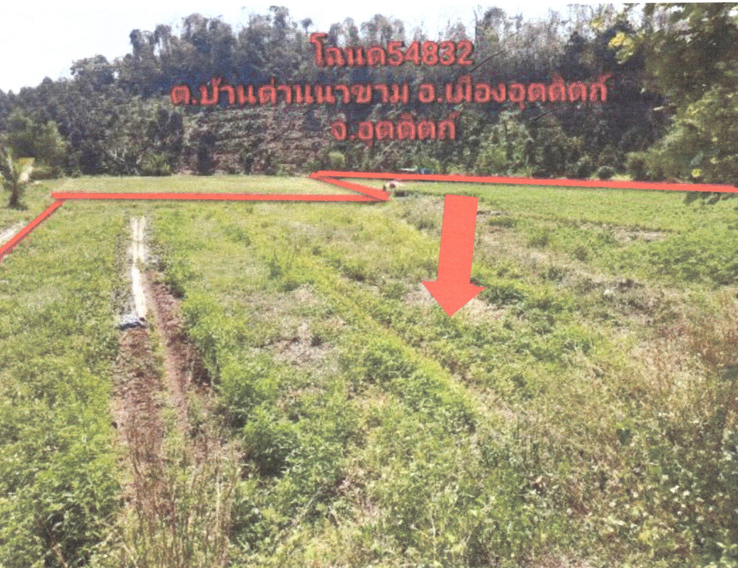 รูปที่ดินว่างเปล่า บ้านด่านนาขาม เมืองอุตรดิตถ์ อุตรดิตถ์