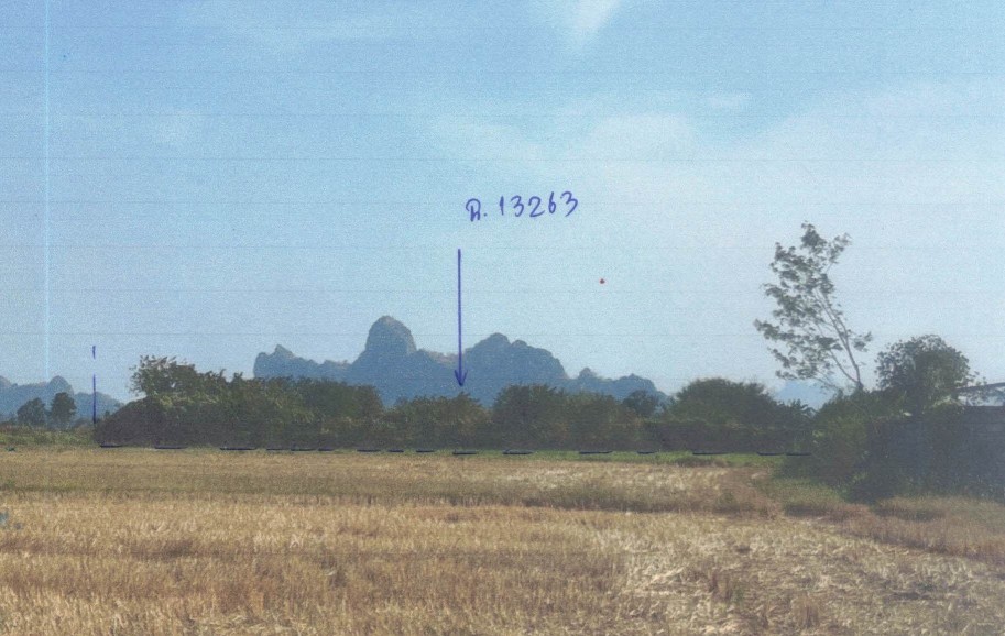 รูปที่ดินว่างเปล่า หนองกระทุ่ม ปากท่อ ราชบุรี