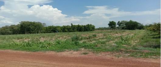 รูปที่ดินว่างเปล่า หนองสรวง หนองกุงศรี กาฬสินธุ์