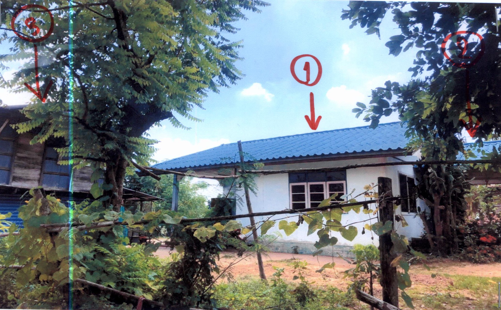 รูปที่ดินพร้อมสิ่งปลูกสร้าง หนองแวง บ้านใหม่ไชยพจน์(พุทไธสง) บุรีรัมย์