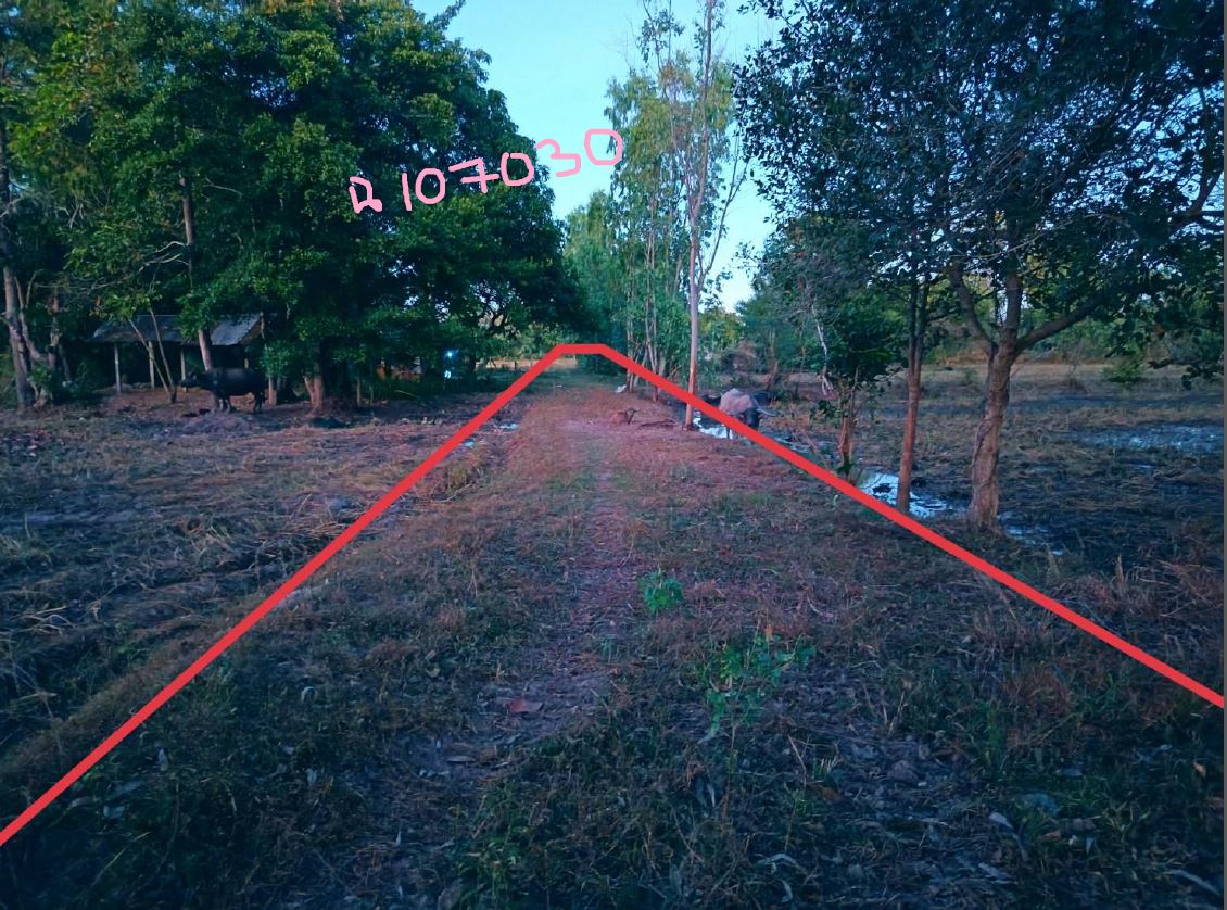 รูปที่ดินว่างเปล่า สิงห์ เมืองยโสธร ยโสธร