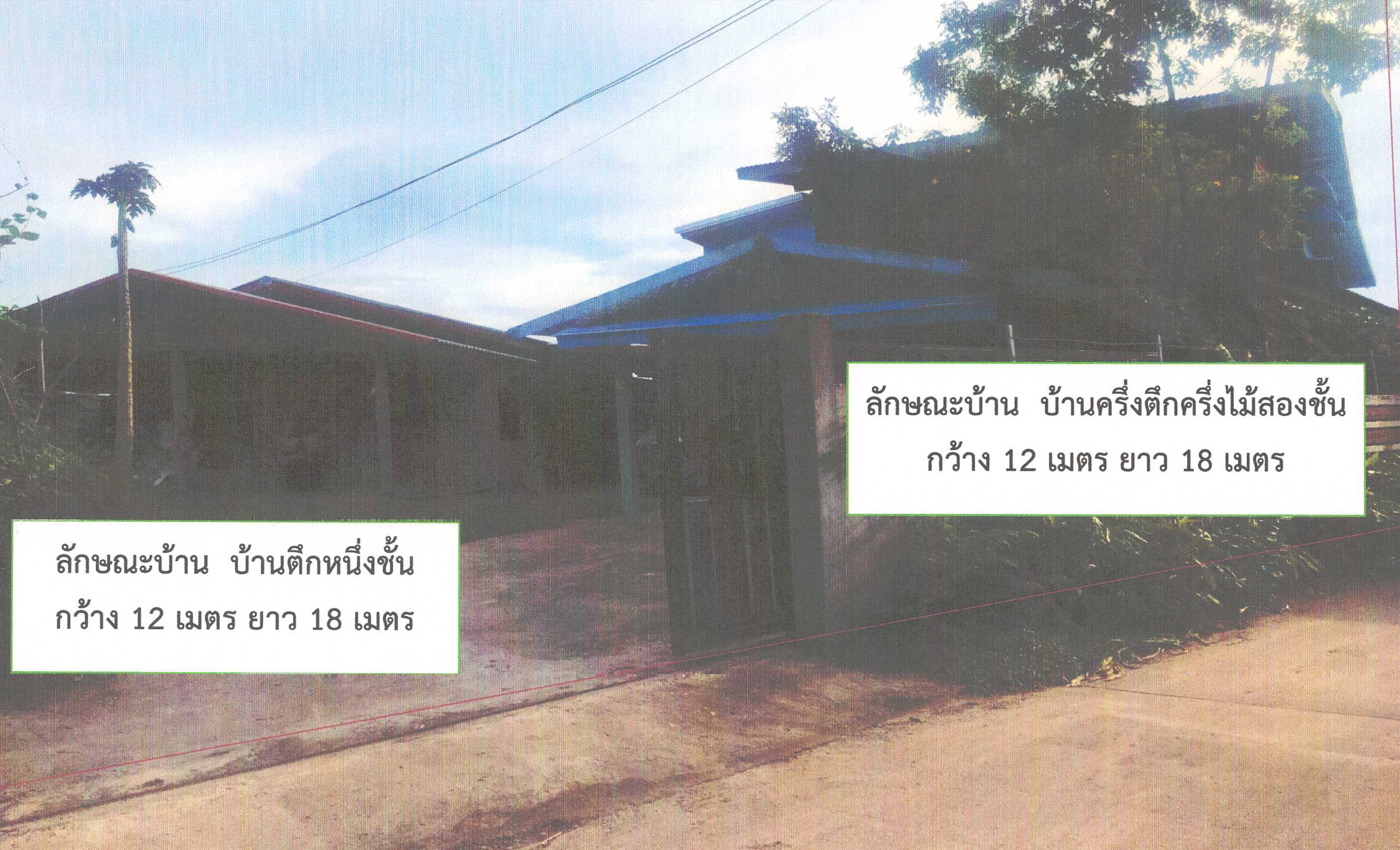 รูปที่ดินพร้อมสิ่งปลูกสร้าง วิศิษฐ์ เมืองบึงกาฬ บึงกาฬ