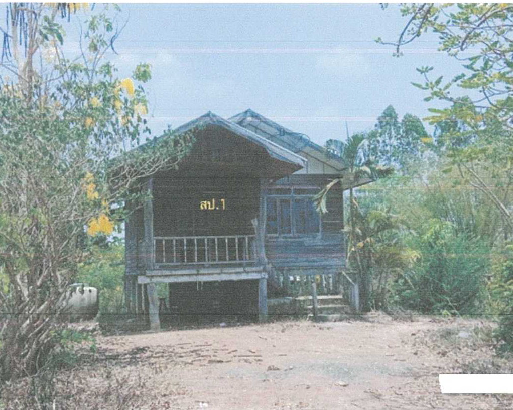 รูปที่ดินพร้อมสิ่งปลูกสร้าง ป่าไม้งาม เมืองหนองบัวลำภู หนองบัวลำภู