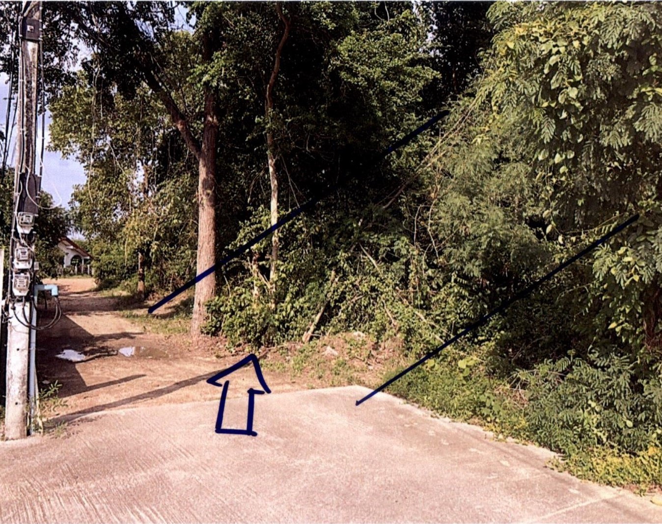 รูปที่ดินว่างเปล่า น้ำรึม เมืองตาก ตาก