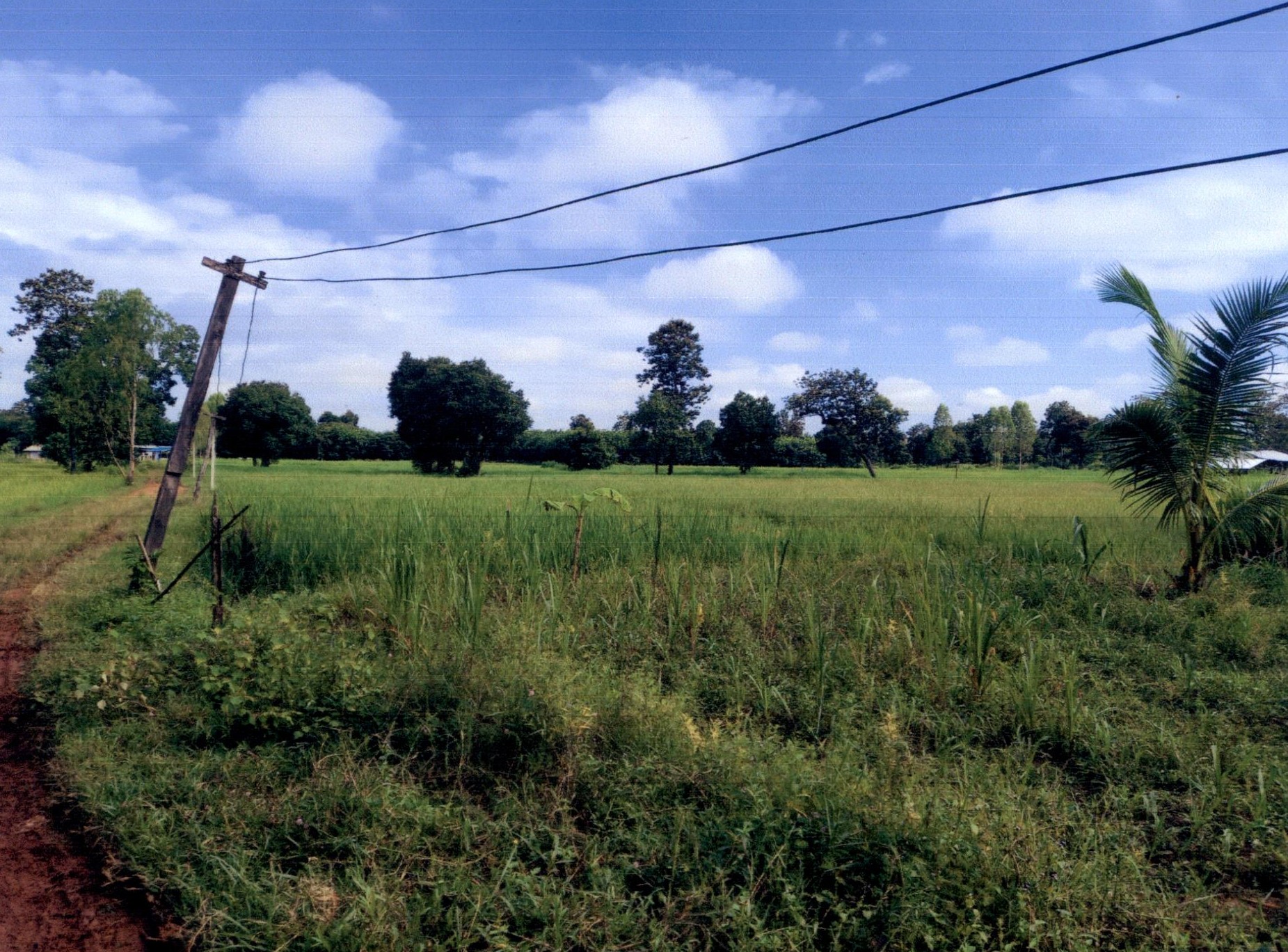 รูปที่ดินว่างเปล่า หนองหว้า เบญจลักษ์ ศรีสะเกษ