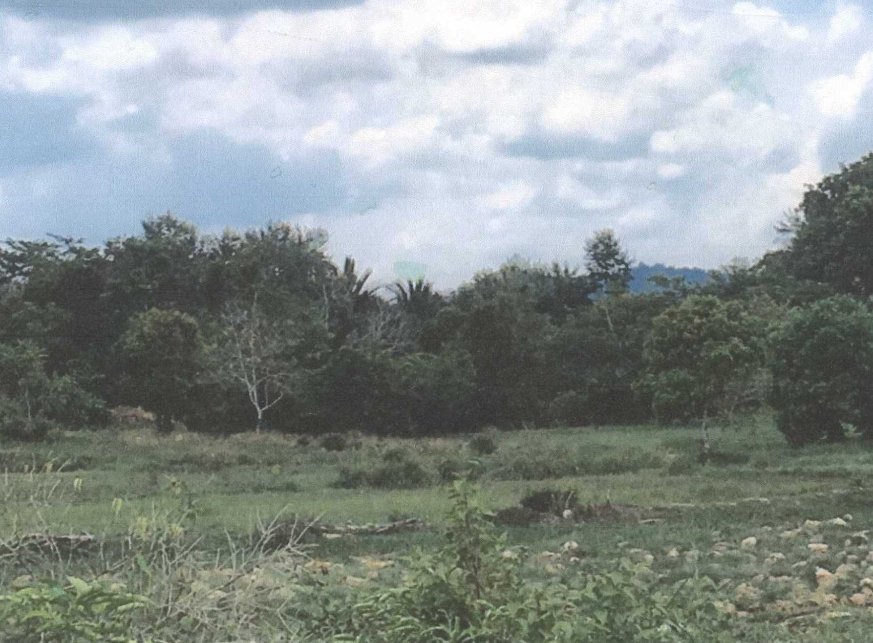รูปที่ดินว่างเปล่า ตะโละแมะนา ทุ่งยางแดง ปัตตานี