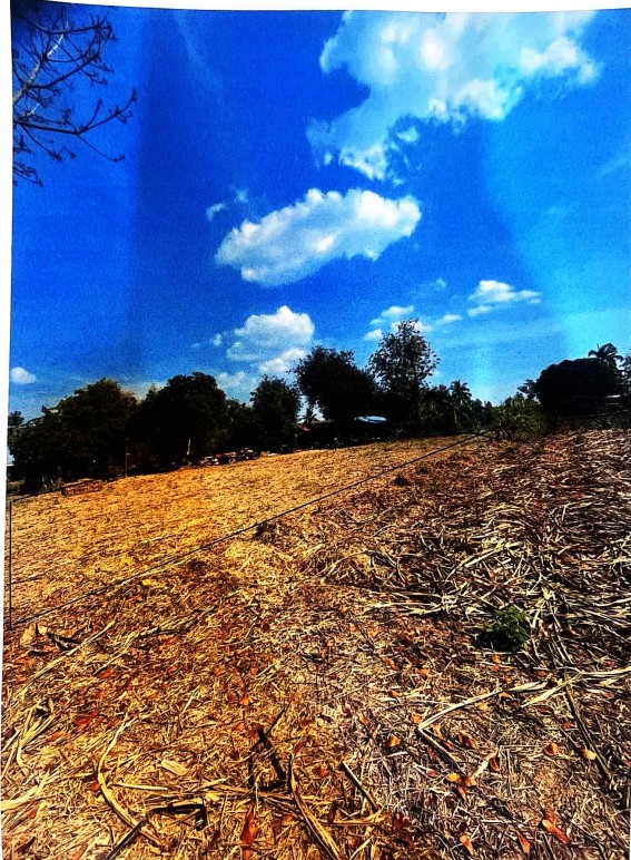 รูปที่ดินว่างเปล่า สระแก้ว เมืองกำแพงเพชร กำแพงเพชร