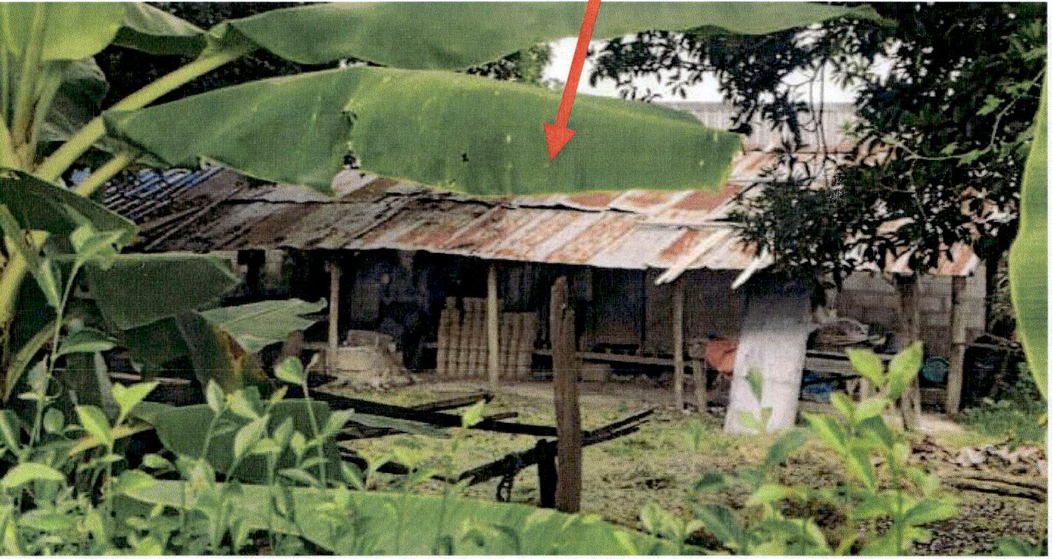 รูปที่ดินพร้อมสิ่งปลูกสร้าง ท่าผา เกาะคา ลำปาง