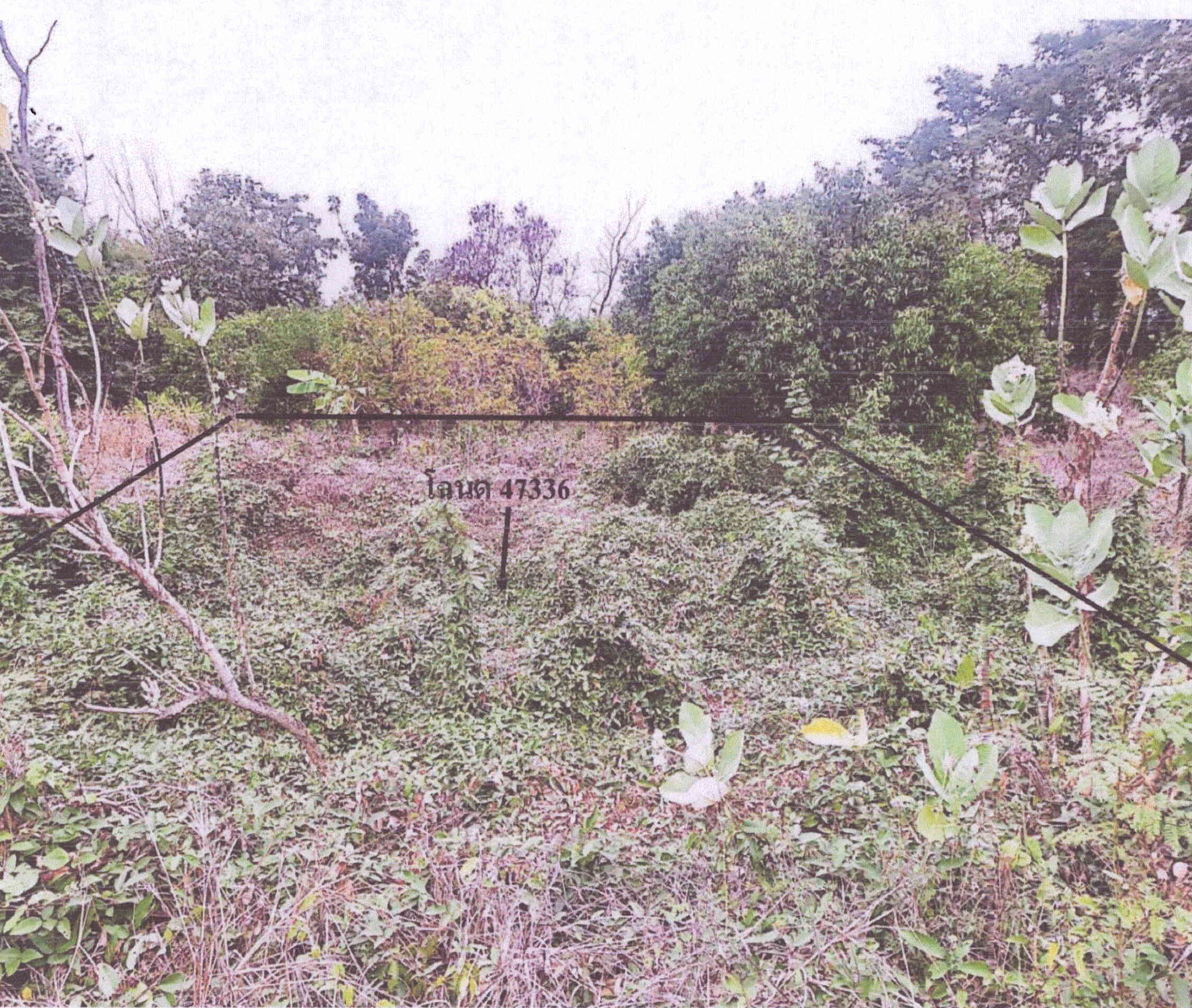 รูปที่ดินว่างเปล่า ห้วยโป่ง โคกสำโรง ลพบุรี
