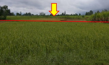 รูปที่ดินว่างเปล่า บ้านหัน เกษตรสมบูรณ์ ชัยภูมิ