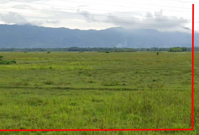 รูปที่ดินว่างเปล่า บาเระใต้ บาเจาะ นราธิวาส