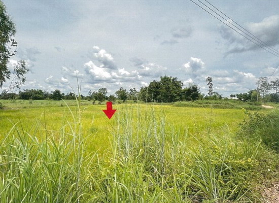 รูปที่ดินว่างเปล่า โพธิ์ใหญ่ วารินชำราบ อุบลราชธานี