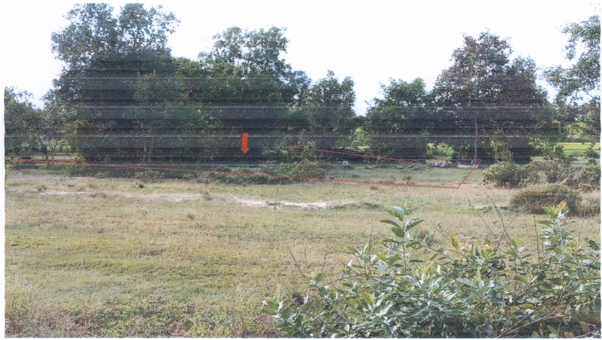 รูปที่ดินว่างเปล่า ขามใหญ่ เมืองอุบลราชธานี อุบลราชธานี