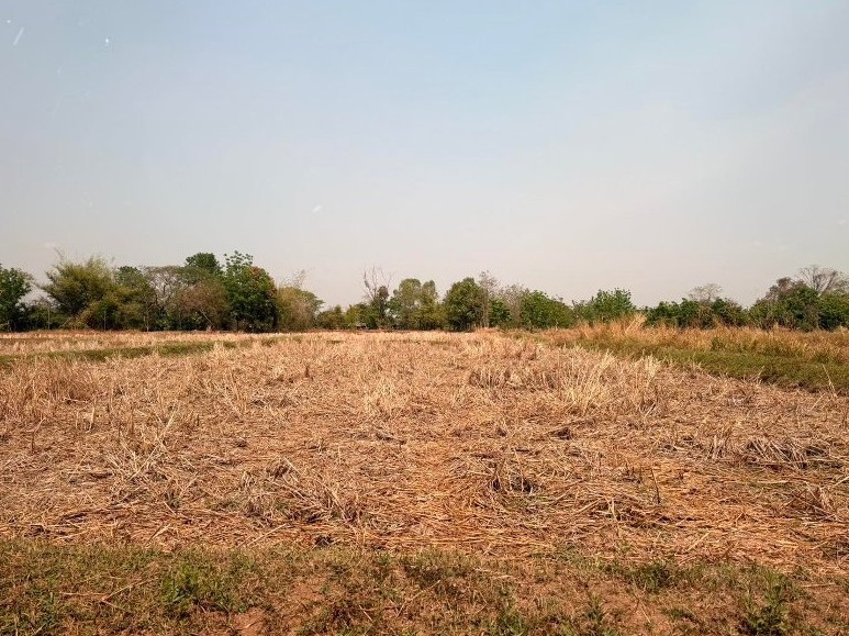 รูปที่ดินว่างเปล่า บ้านฝาง บ้านฝาง ขอนแก่น