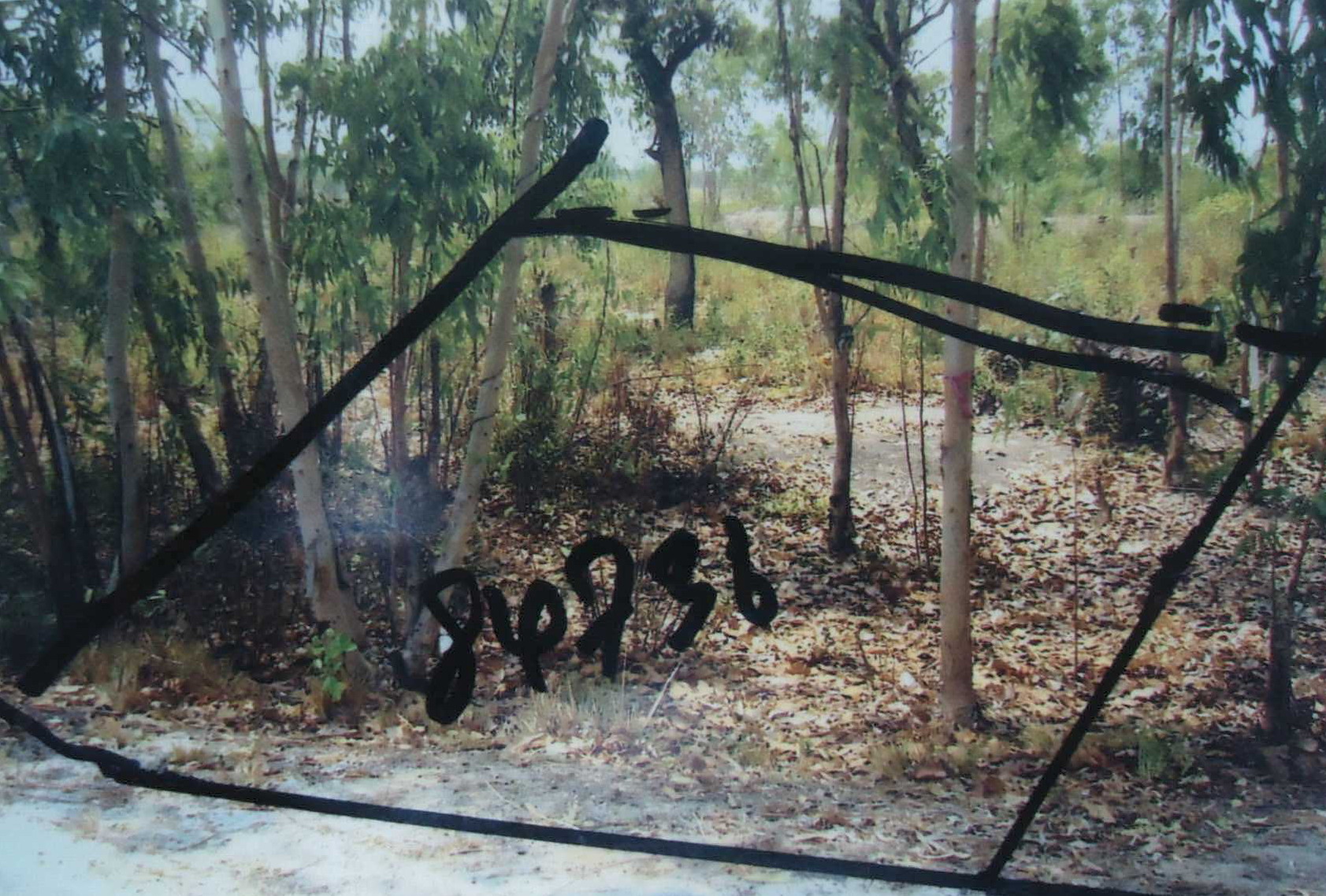 รูปที่ดินว่างเปล่า แจระแม เมืองอุบลราชธานี อุบลราชธานี