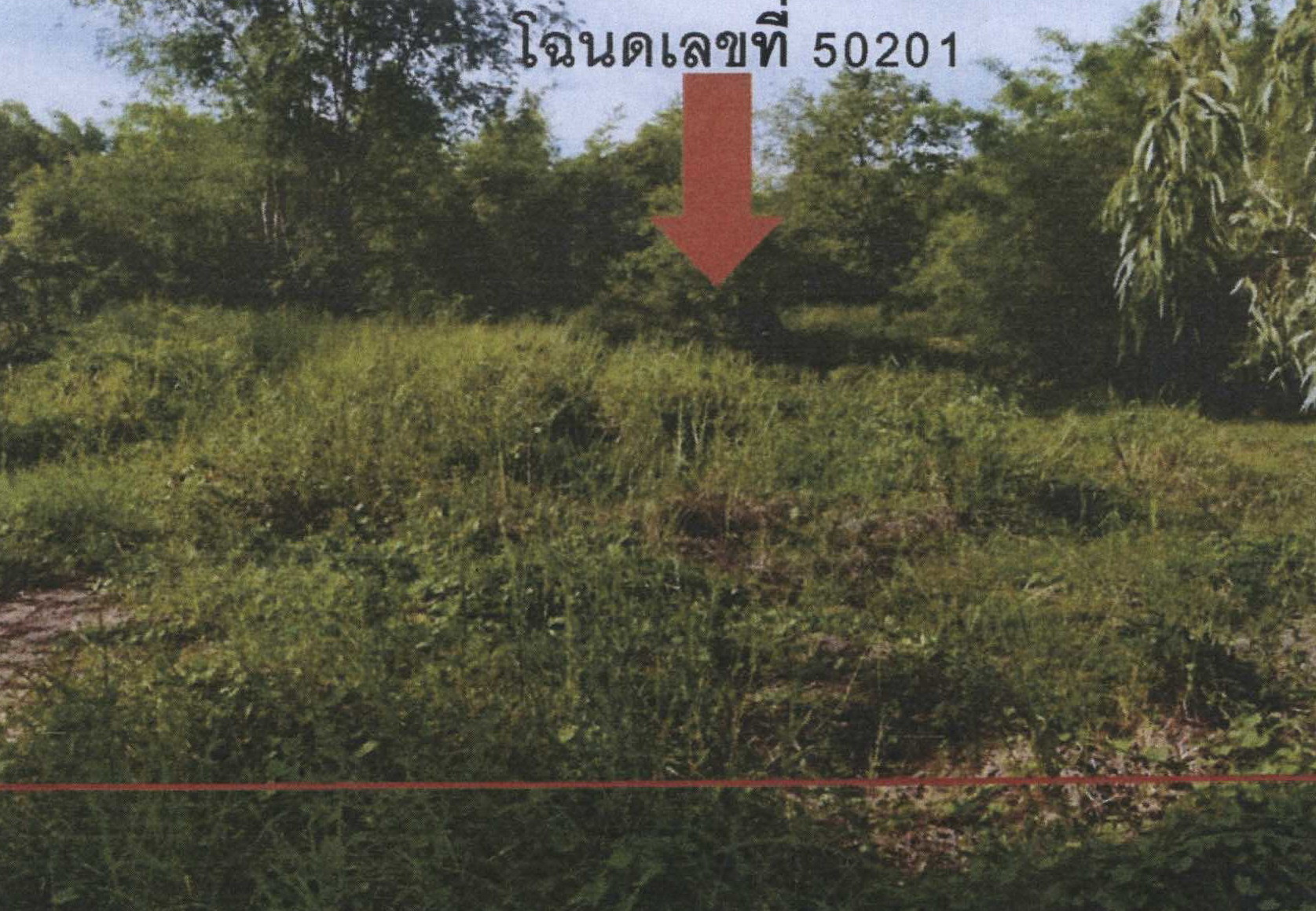รูปที่ดินว่างเปล่า วังประจบ เมืองตาก ตาก