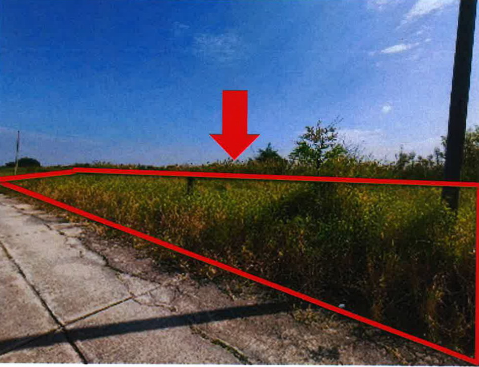 รูปที่ดินว่างเปล่า นิลเพชร บางเลน นครปฐม