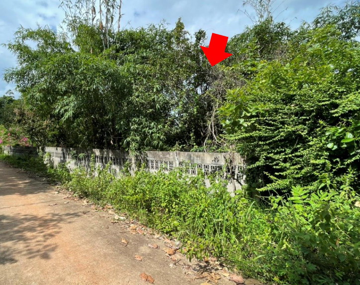 รูปที่ดินว่างเปล่า ห้วยยาง เมืองสกลนคร สกลนคร