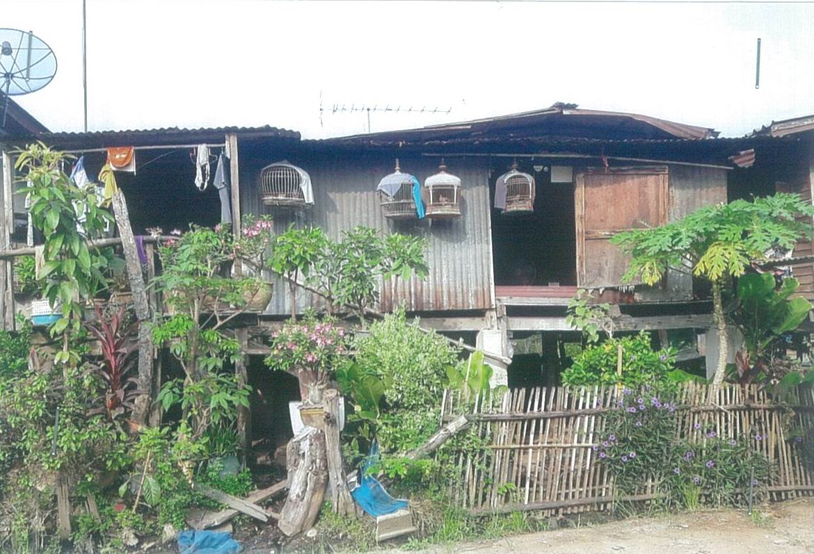 รูปที่ดินพร้อมสิ่งปลูกสร้าง ตลุก สรรพยา ชัยนาท
