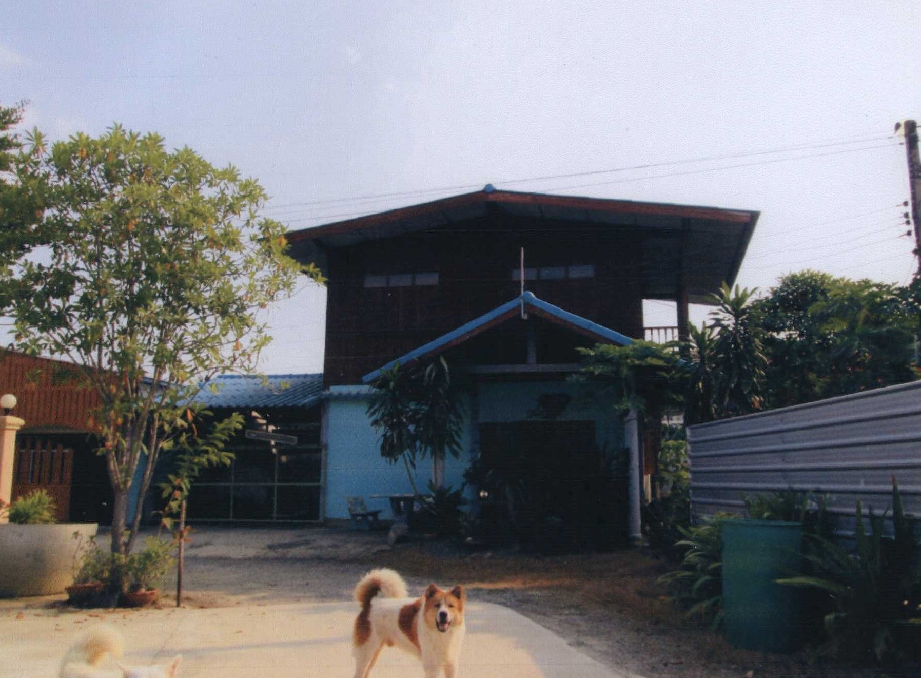 รูปที่ดินพร้อมสิ่งปลูกสร้าง วังลึก สามชุก สุพรรณบุรี