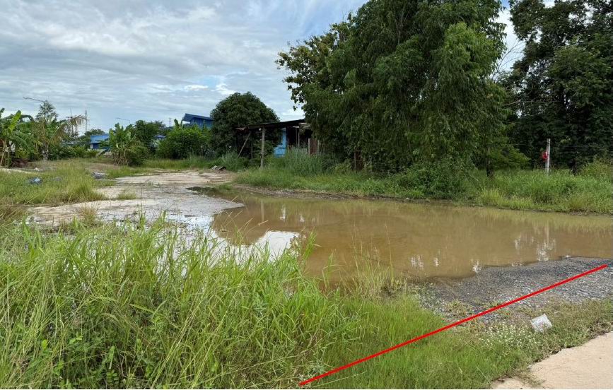 รูปที่ดินพร้อมสิ่งปลูกสร้าง บ้านนา วชิรบารมี พิจิตร
