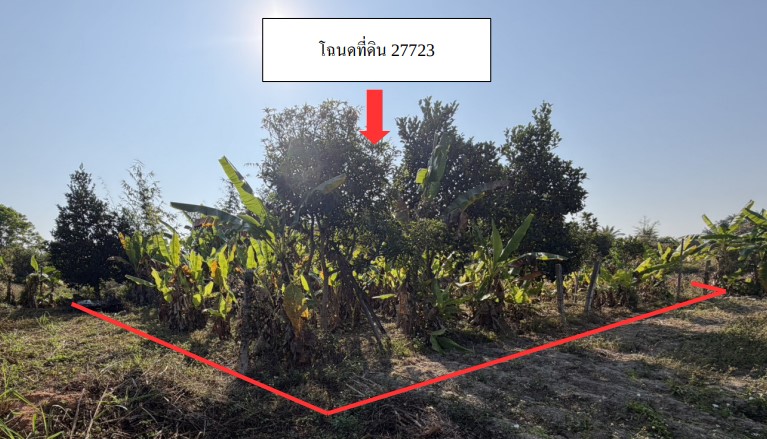 รูปที่ดินว่างเปล่า แม่สูน ฝาง เชียงใหม่