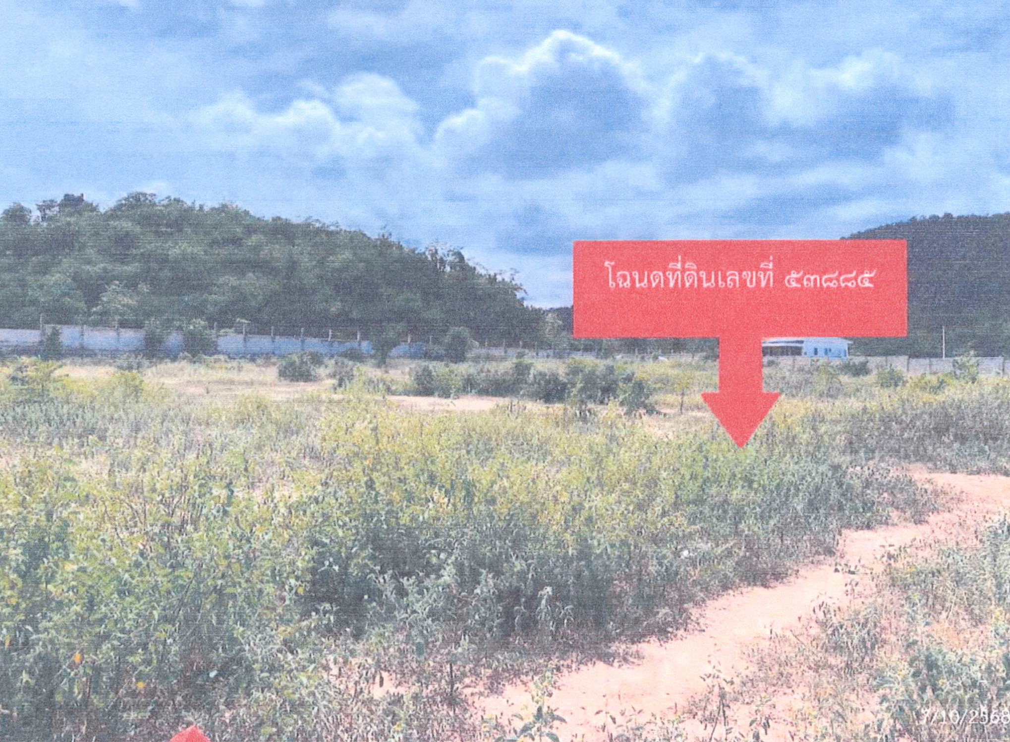 รูปที่ดินว่างเปล่า หนองแก หัวหิน ประจวบคีรีขันธ์