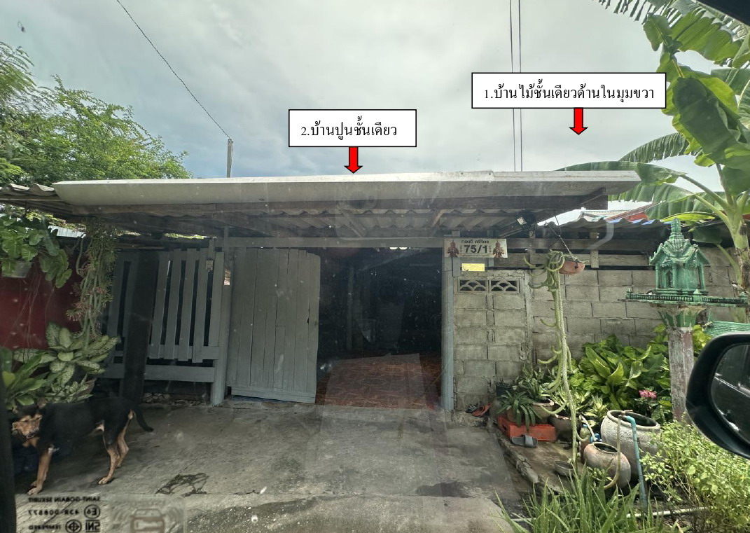 รูปที่ดินพร้อมสิ่งปลูกสร้าง วัดแก้ว บางแพ ราชบุรี