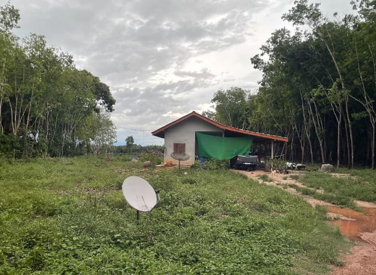 รูปที่ดินพร้อมสิ่งปลูกสร้าง สวนแตง ละแม ชุมพร