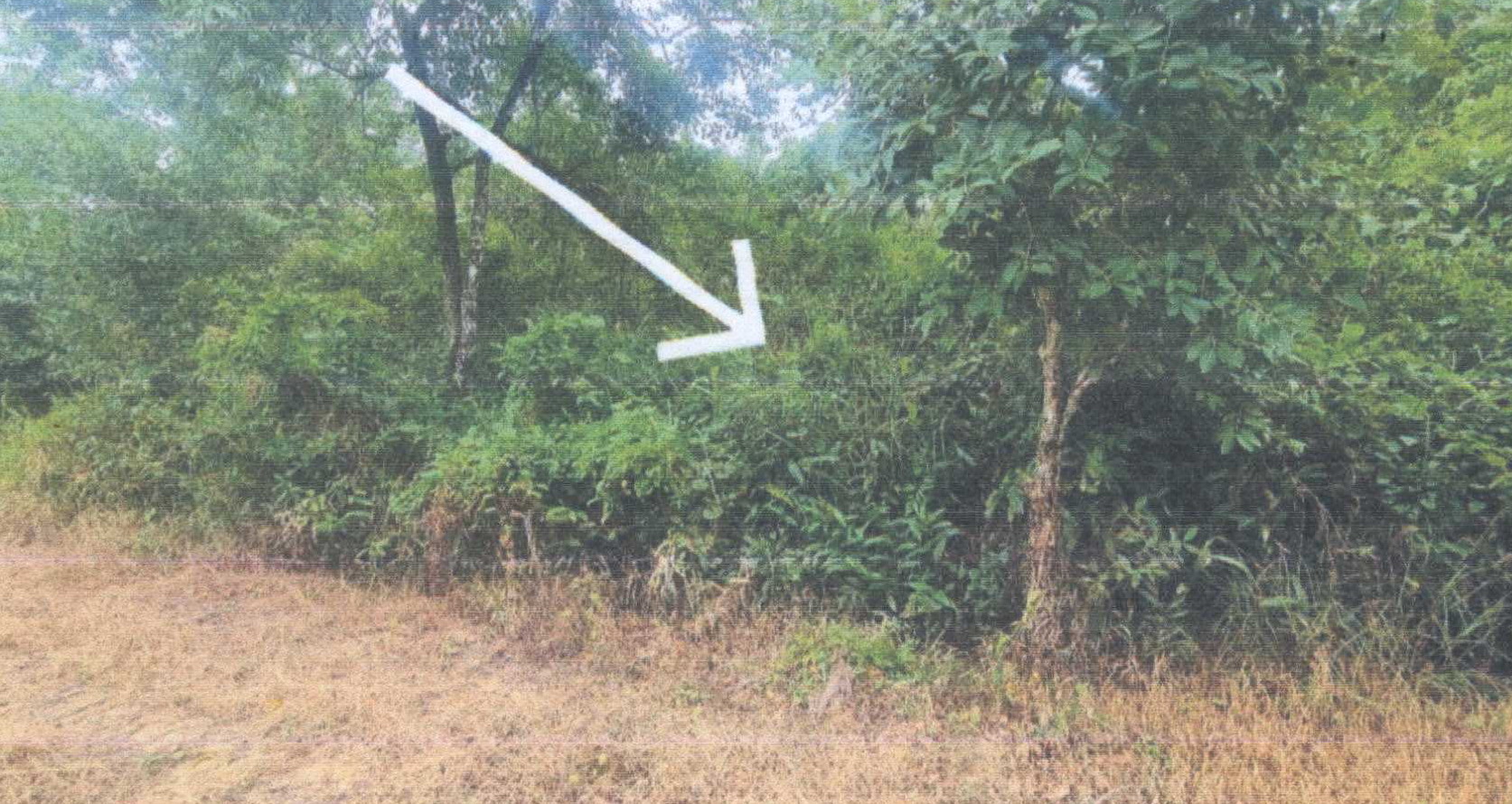 รูปที่ดินว่างเปล่า ควนโดน ควนโดน สตูล
