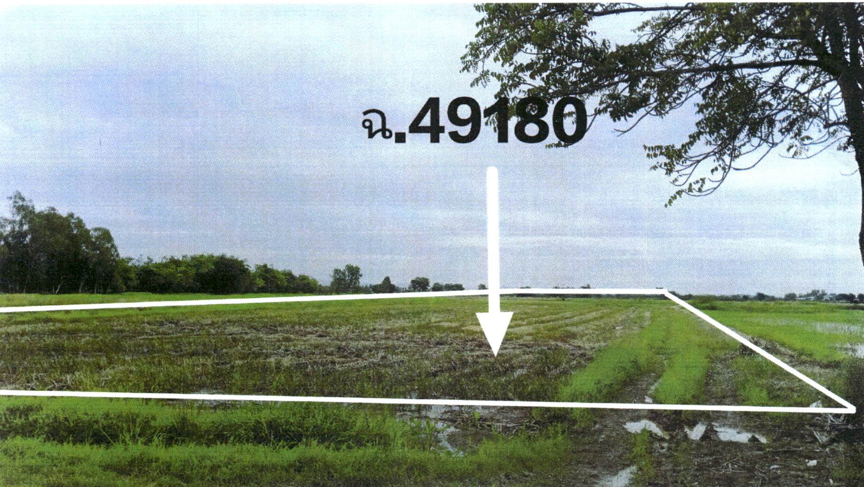รูปที่ดินว่างเปล่า บ้านโคน พิชัย อุตรดิตถ์