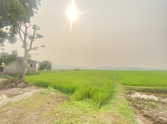 รูปที่ดินว่างเปล่า เม็งราย พญาเม็งราย เชียงราย