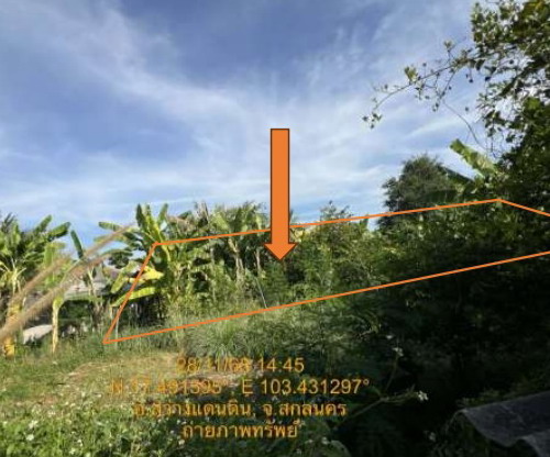 รูปที่ดินว่างเปล่า โพนสูง สว่างแดนดิน สกลนคร
